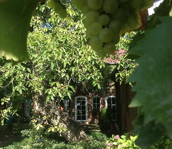 Kunsthof Гостевой дом
