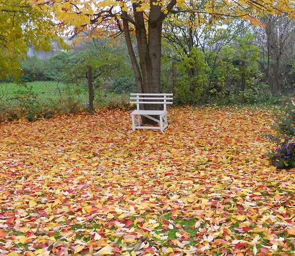 Гостевой дом Kunsthof